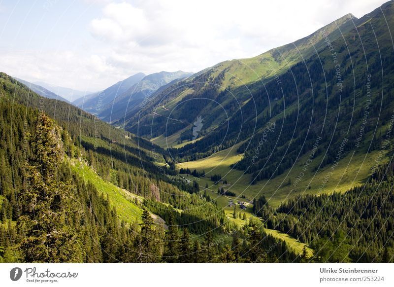 green lung Vacation & Travel Tourism Environment Nature Landscape Plant Sky Clouds Summer Beautiful weather Tree Field Forest Hill Alps Mountain Lower Tauern