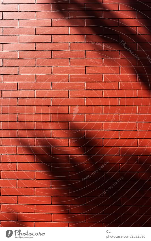 red wall House (Residential Structure) House building Bricklayer Construction site Craft (trade) Masonry Sunlight Beautiful weather Deserted Building