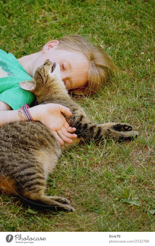 Best Friends: Child with hangover. Living or residing Garden Human being Masculine Boy (child) Infancy Life 1 8 - 13 years Summer Grass Meadow Animal Pet Cat