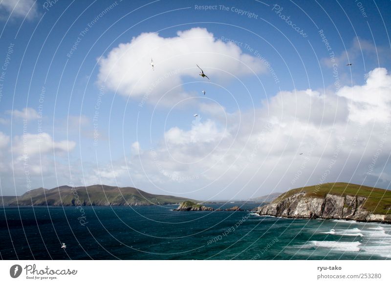 dingle. Nature Water Sky Clouds Autumn Hill Rock Mountain Canyon Waves Coast Ocean Island Relaxation Dream Esthetic Blue Brown Green White Serene Calm Longing