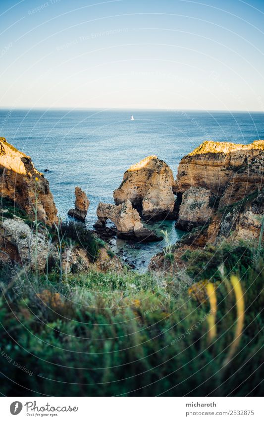 Algarve Cliffs in the Evening light Vacation & Travel Trip Far-off places Freedom Summer Ocean Island Aquatics Nature Landscape Plant Water Beautiful weather