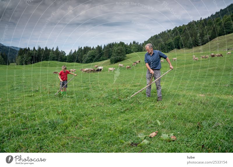 a gmate Wies`n Work and employment Agriculture Forestry Environment Nature Landscape Summer Climate Meadow Field Alps Reap Scythe Farmer mowing
