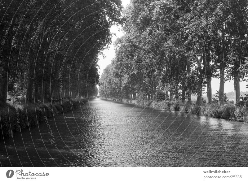 Canal du Midi Avenue Tree Watercraft Shadow play Sewer