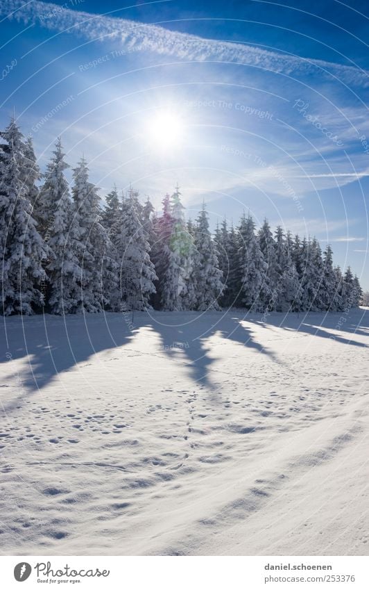Black Forest winter advertising Vacation & Travel Trip Winter Snow Winter vacation Mountain Hiking Environment Nature Landscape Sky Sun Sunlight Ice Frost Tree