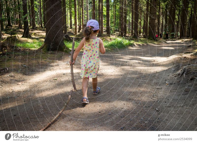 Walking Nature Summer Forest Discover Hiking Small Curiosity Green Power Willpower Girl hiking trail Life Strong Brave Colour photo Exterior shot