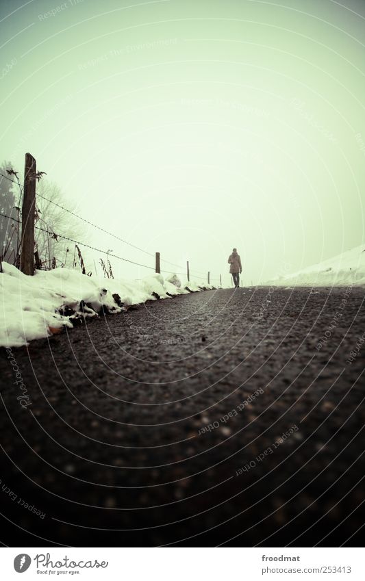 roadside Human being Nature Winter Bad weather Fog Freeze Hiking Cold Gloomy Lanes & trails Asphalt Fence Barbed wire fence To go for a walk Shroud of fog