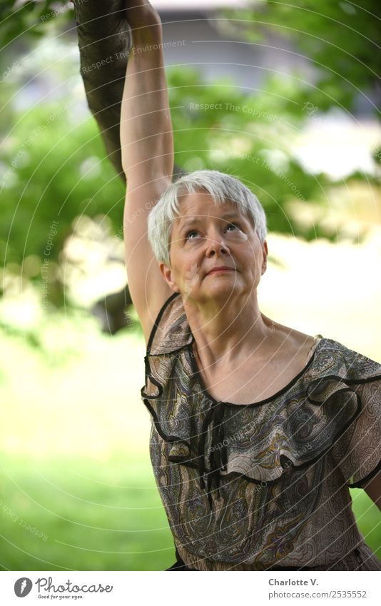 View upwards Human being Feminine Woman Adults Female senior 1 45 - 60 years Beautiful weather Tree Gray-haired Short-haired Think Relaxation To hold on Hang