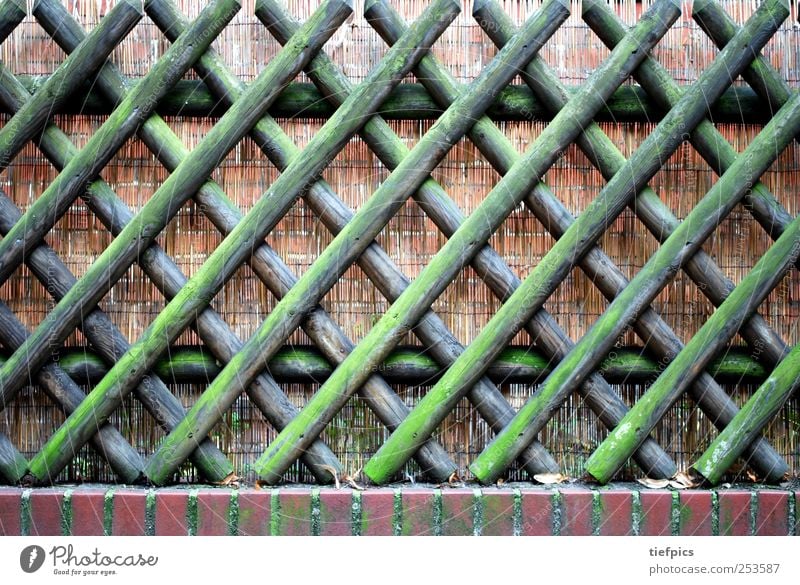 Hunter's fence. Moss Wood Brown Green pick German Germany Background picture hunting fence Fence Wooden board mossy Weathered Garden fence Petit bourgeois