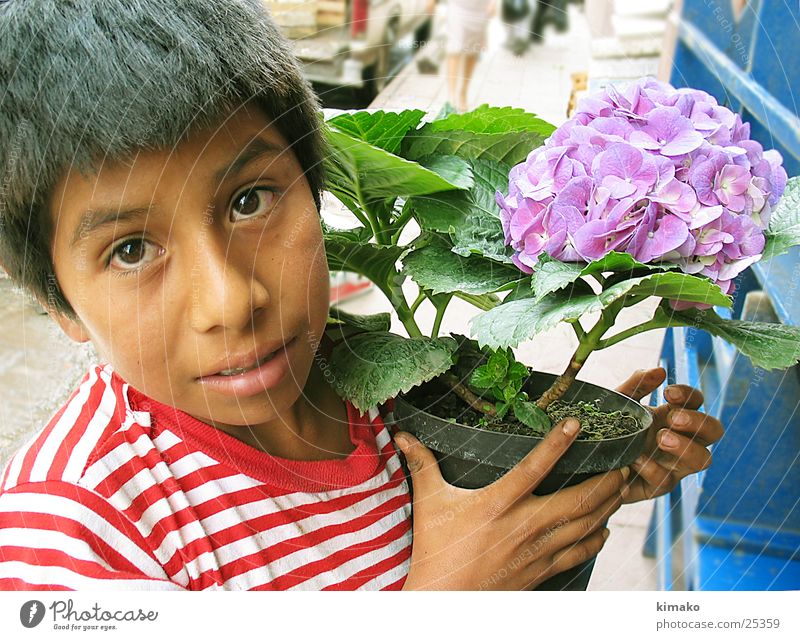 Do you want flowers? Flower Child Portrait photograph Mexico boy street.