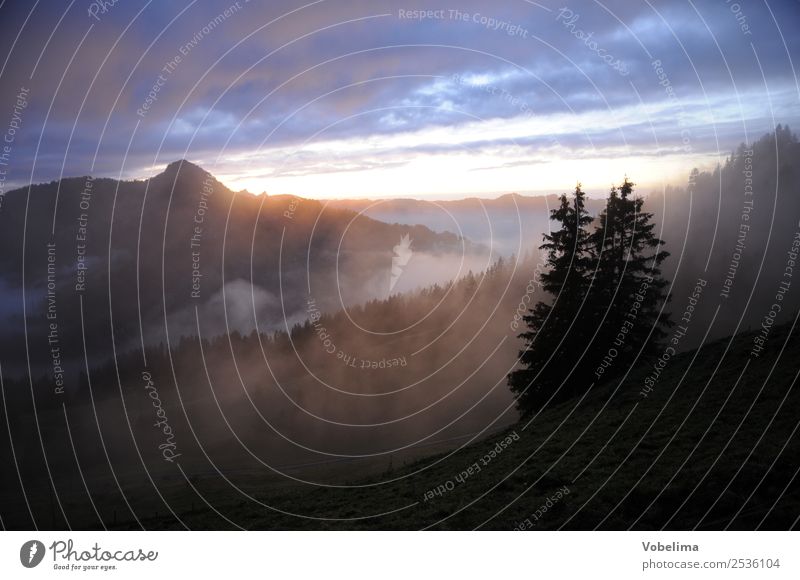 Evening at the Druesberghütte Mountain Nature Landscape Clouds Fog Tree Alps Blue Brown Yellow Gray Black evening evening mood Sunset Dusk Iberg Unteriberg