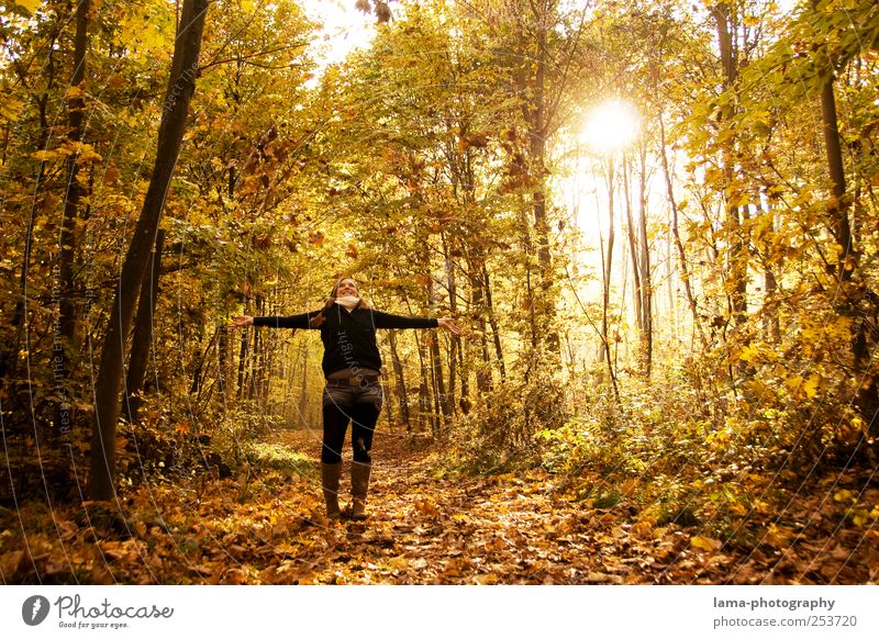 Golden times Joy 1 Human being Sunlight Autumn Leaf Autumn leaves Autumnal landscape Automn wood Laughter Happiness Yellow Happy Sunbeam To go for a walk