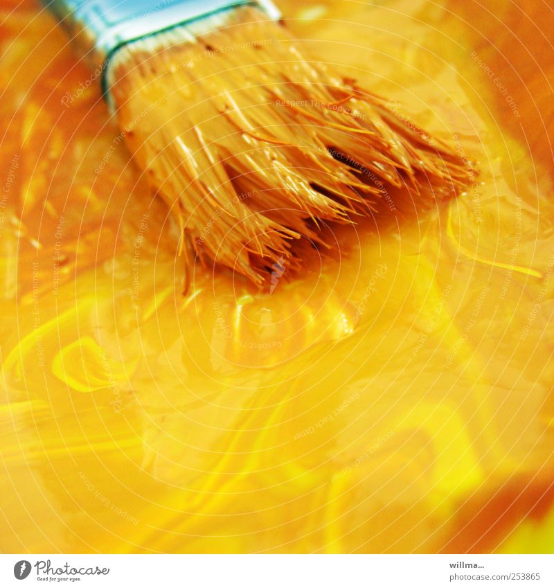 brush in yellow color Paintbrush Colour Painter Painting and drawing (object) Yellow Bristles Redecorate Painting (action, artwork) Painting (action, work)