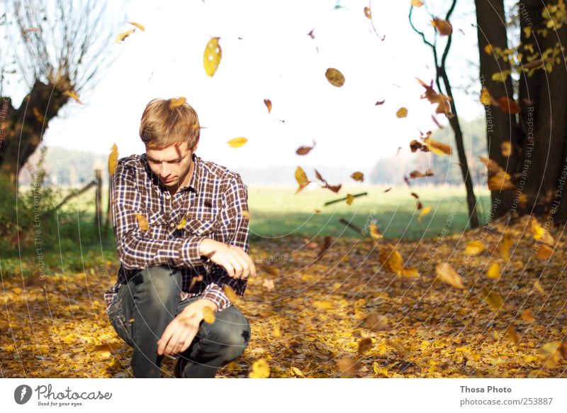 sea of leaves Masculine Youth (Young adults) 1 Human being 18 - 30 years Adults Nature Autumn Beautiful weather Tree Leaf Shirt Brunette Free Happy Yellow Gold