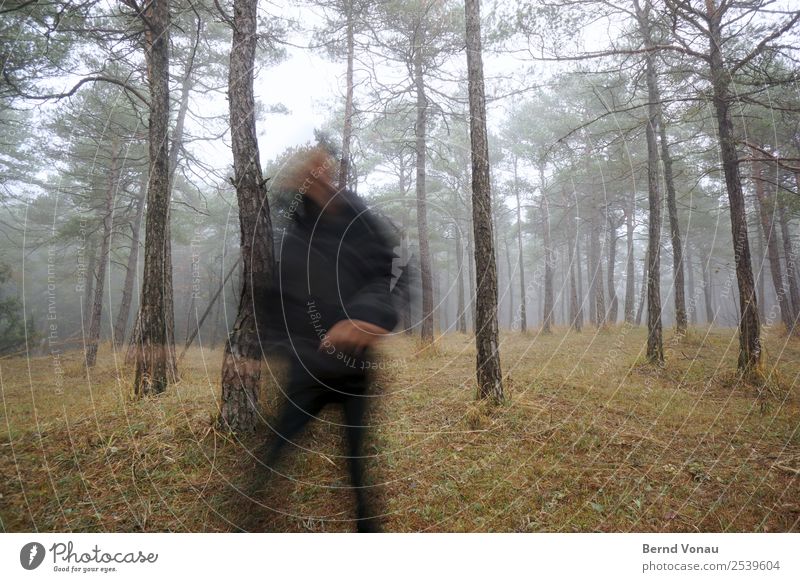 Fuzzy figure running through the forest Human being 1 Environment Nature Autumn Weather Fog Plant Tree Grass Forest Walking Running Escape Blur Jogging Gray