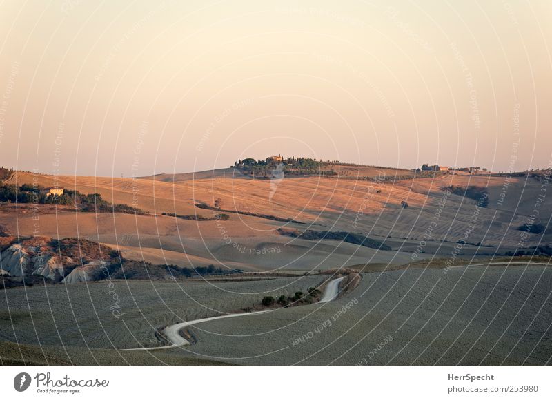 Tuscany morning Nature Landscape Cloudless sky Autumn Beautiful weather Field Hill Street Lanes & trails Esthetic Brown Crete Dawn Wavy line Curve Harvest Farm