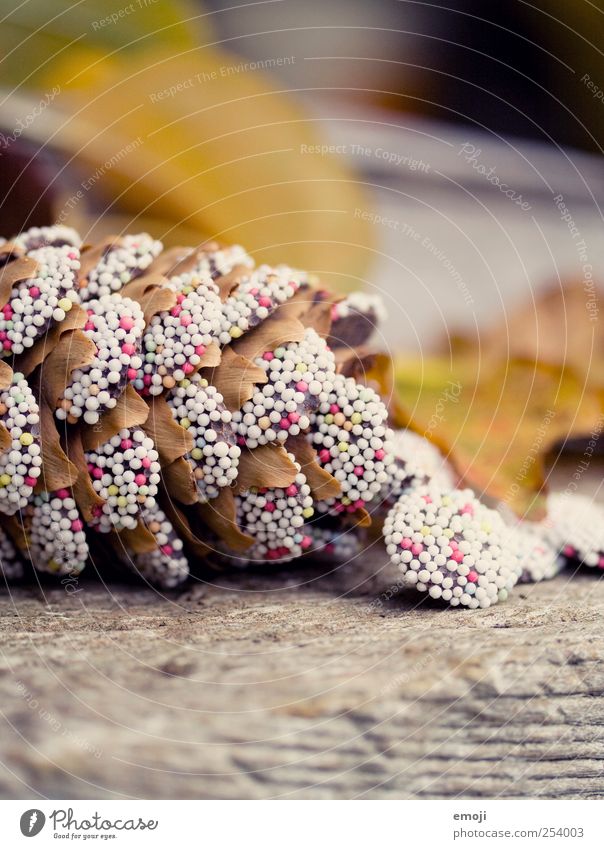 Fir cone, sugared Nature Plant Autumn Exotic Sweet Multicoloured Coulored sugar candy Sugar perl Handcrafts Cone Colour photo Exterior shot Close-up Detail