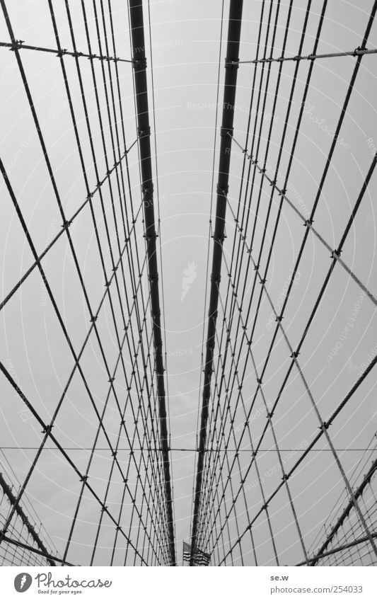 On the net New York City Bridge Rope Net Brooklyn Bridge Tourism Far-off places Line Flag American Flag Black & white photo Exterior shot Abstract