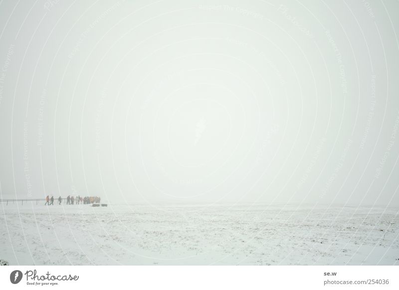 white Winter Hiking Human being Group Elements Sky Weather Fog Snow Field Mountain Infinity Cold White Calm Far-off places Hiking group Colour photo