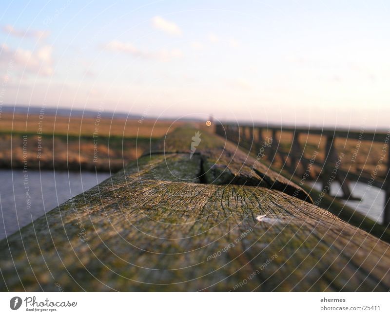 rail Wood Rust Macro (Extreme close-up) Close-up Bridge Handrail Landscape Nature