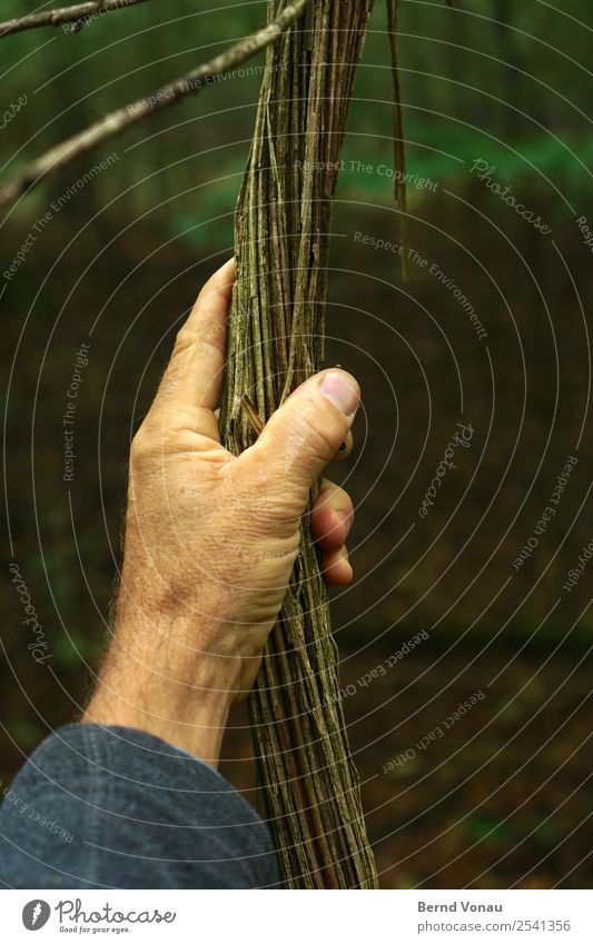 bus stop Human being Masculine Hand 1 45 - 60 years Adults To hold on Nature Forest Liana Rope Hope Pull Power Encounter Rough Growth Contact Touch sleeve
