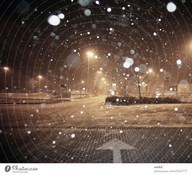 parking search Winter Snowfall Tree Street Road junction Parking lot Parking lot lighting Sign Arrow Cold Wet Town Snowflake Shopping malls Lamp post
