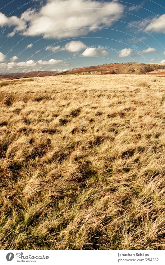 Peak District I Environment Nature Landscape Earth Sky Summer Autumn Beautiful weather Hill Blue Brown Yellow Gold Field Grass Mountain England Exterior shot