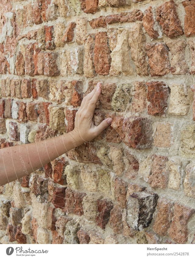 brick touch Woman Adults Arm Hand 1 Human being 18 - 30 years Youth (Young adults) 30 - 45 years Old town House (Residential Structure) Building Wall (barrier)