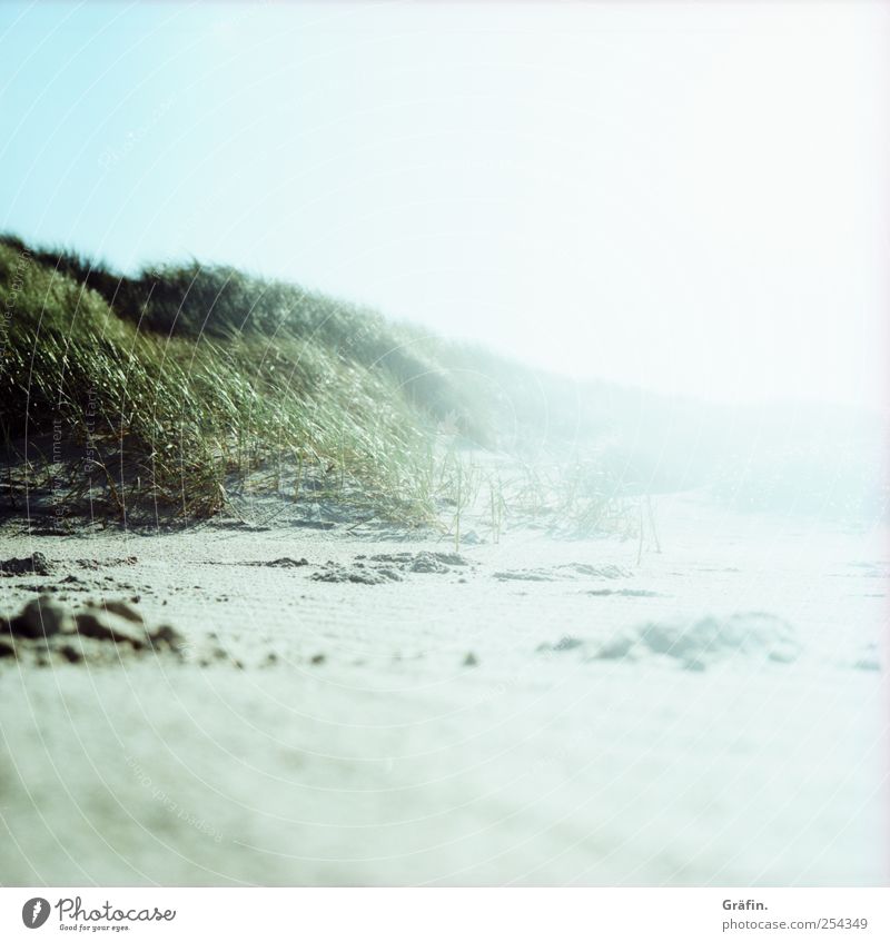 On the beach Sand Cloudless sky Sunlight Autumn Coast Beach Beach dune Illuminate Far-off places Infinity Blue Green White Nature Calm Vacation & Travel Bright