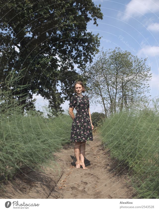 Young woman in a summer dress standing in an asparagus field Joy already Life Trip Adventure Youth (Young adults) 18 - 30 years Adults Environment Landscape