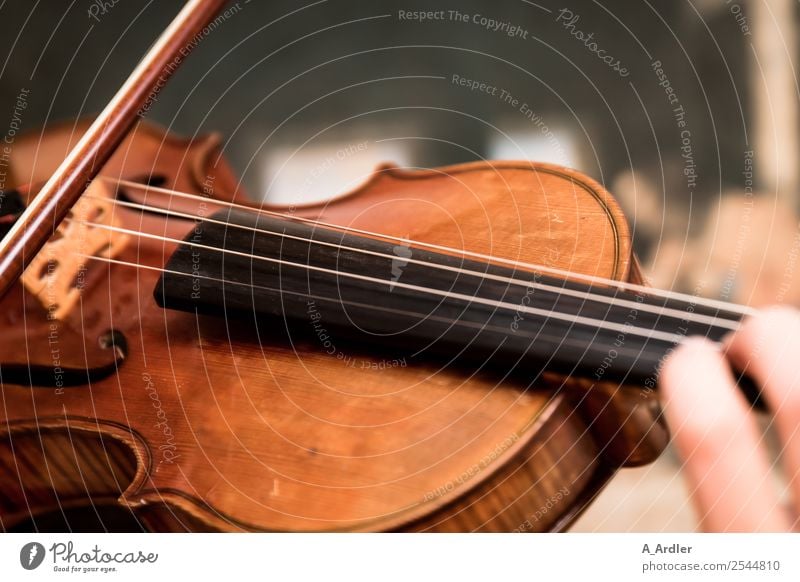 violin Classroom Hand Artist Music Listen to music Concert Outdoor festival Stage Musician Orchestra Violin Brown Black Joy Success Leisure and hobbies