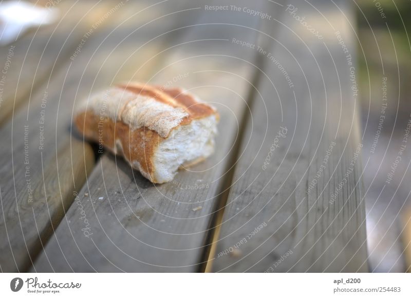 snack Food Bread Trip Summer Summer vacation Garden Table Lie Authentic Brown Contentment Joie de vivre (Vitality) Nutrition White bread Brunch Garden table