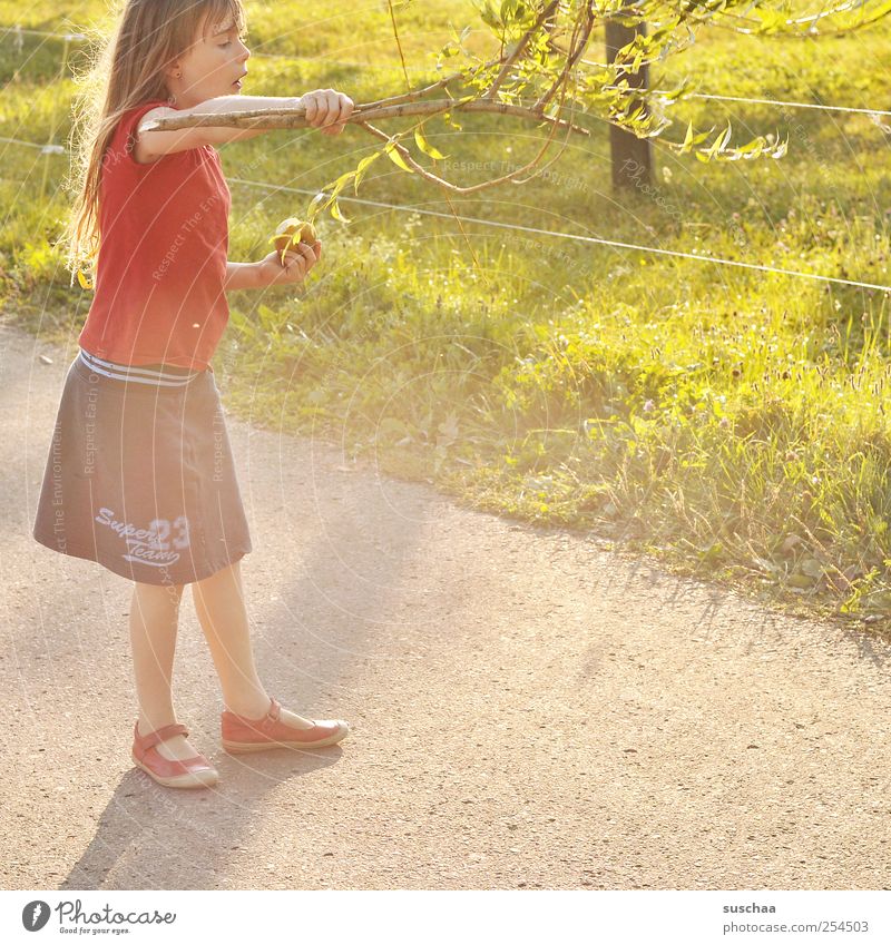 girl plays with a branch | chamois brawn Child Infancy Skin Head Hair and hairstyles Face sleeves 1 Human being 3 - 8 years Environment Nature Sunlight Summer