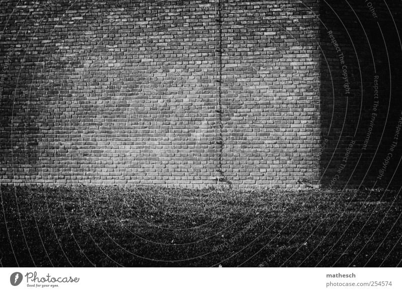 homecoming Deserted House (Residential Structure) Building Wall (barrier) Wall (building) Lightning rod Old Black White Living or residing Grass Grass meadow