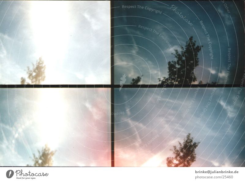 Scotty - Energy Tree Clouds Action Krefeld Sun Sky Lomography sampler Wind Blue Julian brink Guinea pig