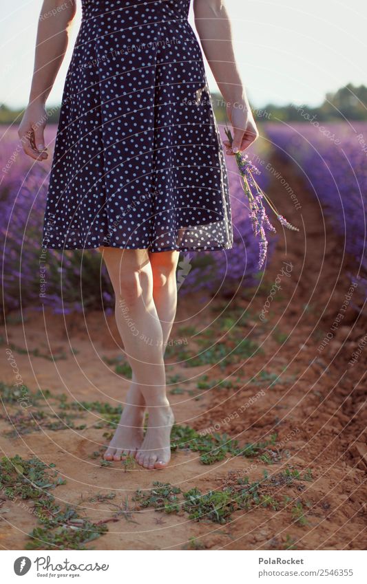 #A# Lightness Art Esthetic Contentment Barefoot Ease Violet Lavender Lavender field Lavande harvest Dress Provence France Legs Exterior shot Pick Colour photo