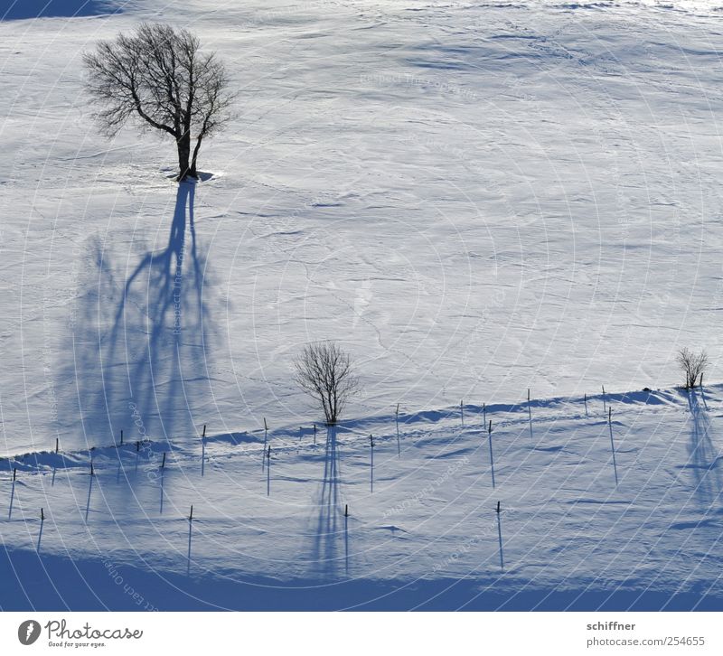 FRdrumrum | Shadow casting Landscape Winter Ice Frost Snow Plant Tree Cold White Slope Pasture Shadow play Fence Sunlight Exterior shot Deserted