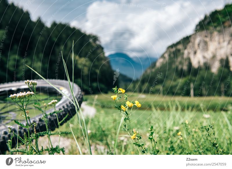 Transalp, Inn valley Leisure and hobbies Vacation & Travel Cycling tour Summer vacation Mountain Sports Nature Landscape Beautiful weather Grass Alps Natural