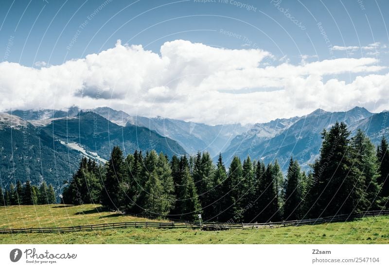 Direction Pitztal Vacation & Travel Mountain Nature Landscape Sky Summer Beautiful weather Meadow Forest Alps Esthetic Sustainability Natural Blue Green Calm