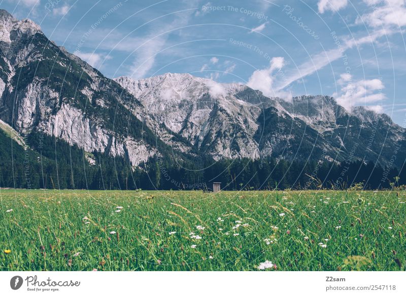 Karwendel Mountain Hiking Environment Nature Landscape Sky Clouds Summer Beautiful weather Grass Leaf Flower Meadow Alps Gigantic Natural Loneliness