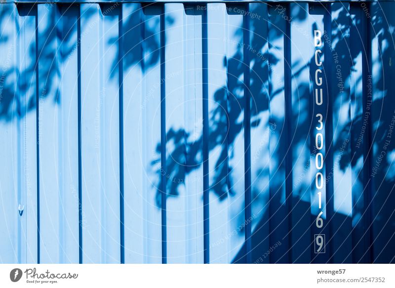 leaf container Container Tree Steel Characters Digits and numbers Blue Shadow Shadow play Branch Leaf Leaf canopy Visual spectacle Letters (alphabet)