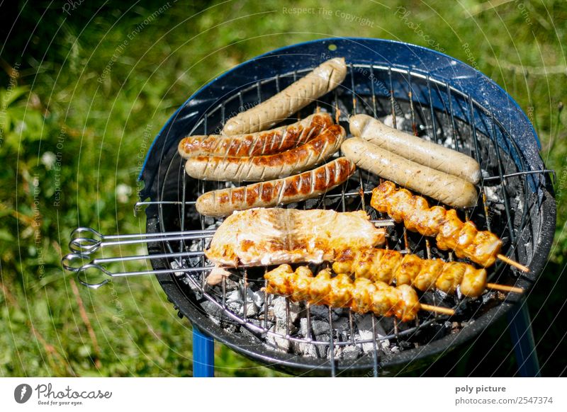 barbecue season Calm Camping Summer Summer vacation Feasts & Celebrations Eating Joy Happy Barbecue (event) Bratwurst Salmon filet grill skewer Kebab