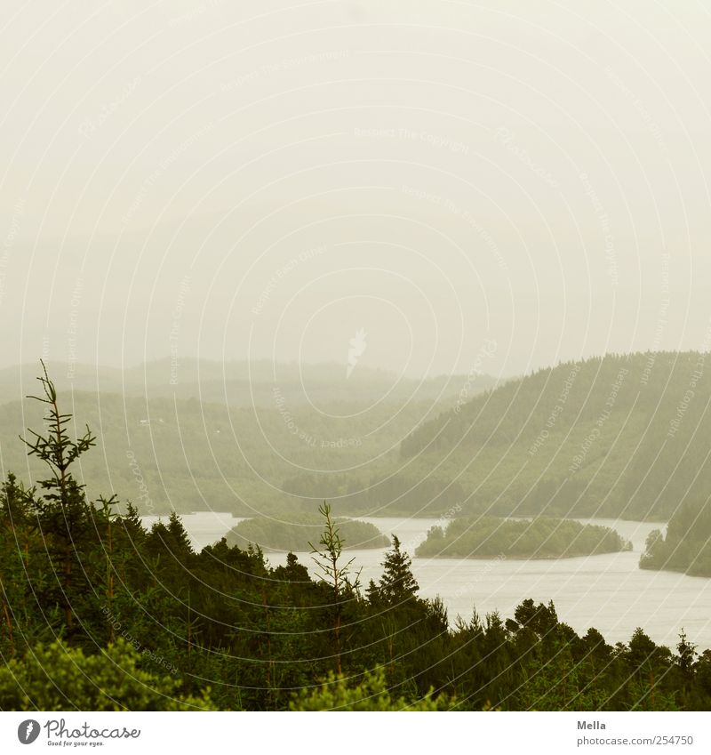 The horizon is straight. Environment Nature Landscape Bad weather Fog Tree Fir tree Hill Lake Far-off places Natural Gloomy Gray Green Scotland Island Forest