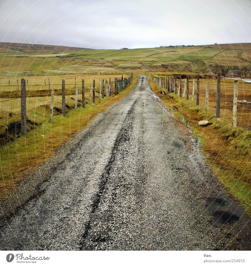 Leave in Silence Trip Far-off places Nature Landscape Earth Sky Clouds Plant Grass Meadow Field Hill Ireland Street Gray Green Direct Right ahead Fence