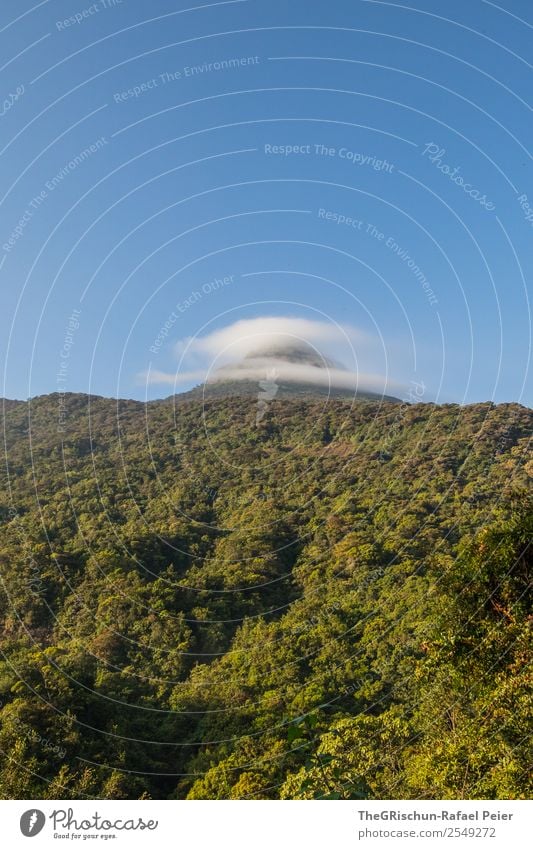 Adam's Peak - Sri Lanka Nature Blue Green Mountain Clouds pilgrimage place Religion and faith Forest Sky Tree Hiking Colour photo Exterior shot Deserted Morning