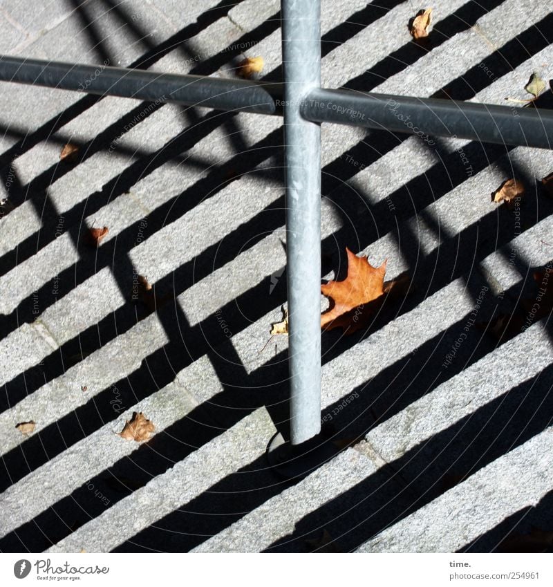 Treppenwitz | ChamanSülz Autumn Leaf Stairs Metal Gray Banister Maple tree Maple leaf Metalware Diagonal stagger Rod Hold Colour photo Exterior shot Pattern
