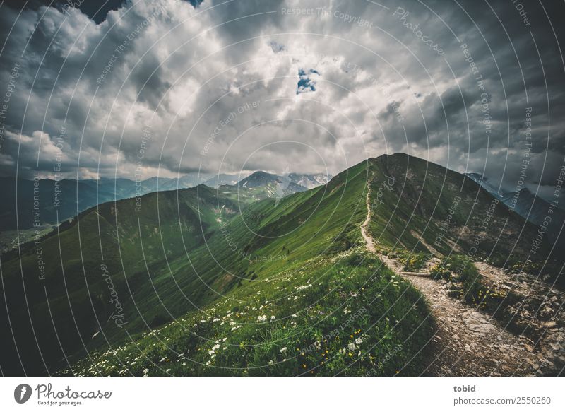 Alpine summit with clouds Nature Landscape Plant Sky Clouds Storm clouds Horizon Weather Bad weather Grass Bushes Meadow Hill Rock Alps Mountain Lanes & trails