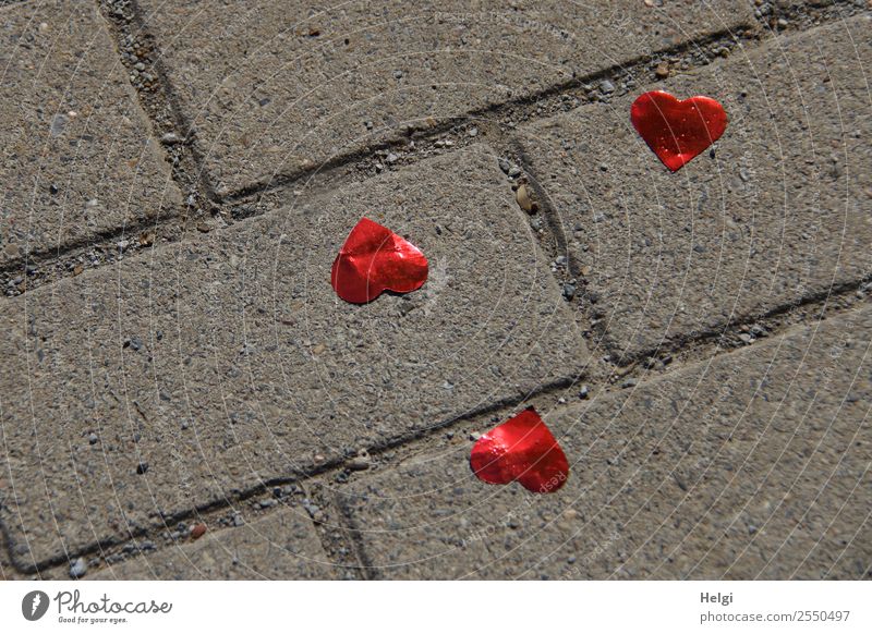 lost hearts Feasts & Celebrations Wedding Footpath Paving stone Plastic Heart Lie Exceptional Together Happy Kitsch Small Gray Red Emotions Love Romance