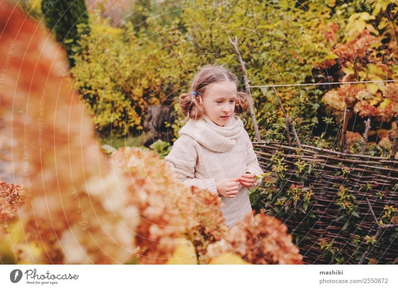 kid girl walking in the garden in late october or november Lifestyle Joy Vacation & Travel Garden Child Nature Autumn Warmth Flower Leaf Sweater Scarf Smiling