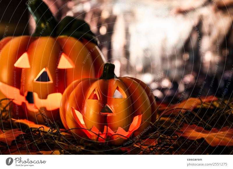 Pumpkins in a Halloween night Nature Plant Sky Moon Fog Garden Park Field Forest Decoration Candle Ornament Feasts & Celebrations Scream Sadness Authentic