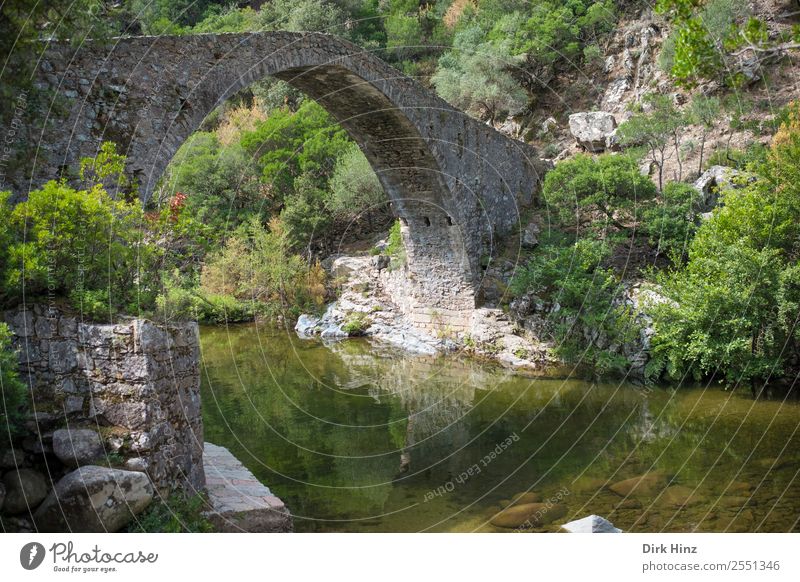 Old bridge over Corsican river Lonca Vacation & Travel Tourism Trip Far-off places Nature Landscape Plant Water Wild plant Rock Mountain Canyon Ruin Bridge